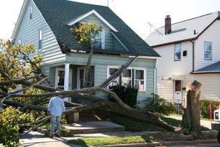 reasons for emergency tree removal