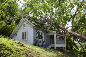 Identifying a tree risk area before it becomes a problem is one of AKA Tree Services specialties in Atlanta GA and Nashville TN areas.