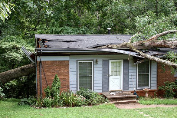 Tree Removal in Atlanta, GA