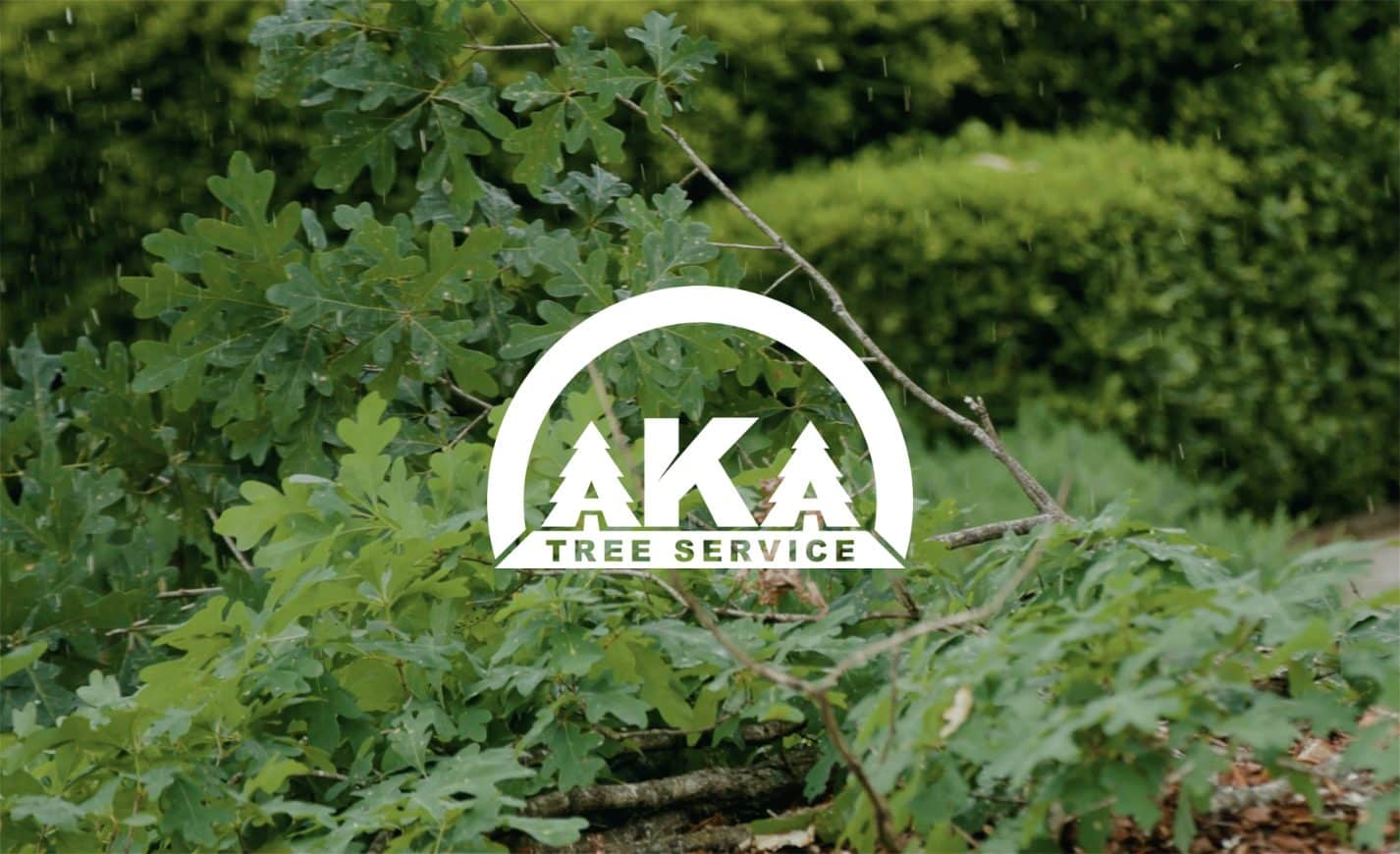 Tree Care Blog by AKA Tree Service in Atlanta GA and Nashville TN