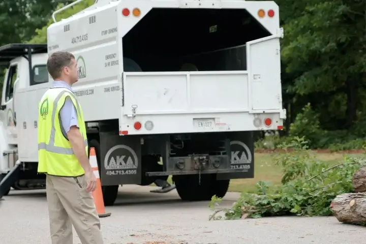 Tree care consulting by AKA Tree Service in Atlanta GA and Nashville TN