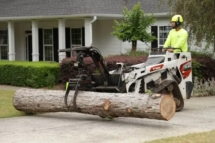 Residential tree services by AKA Tree Service in Atlanta GA and Nashville TN