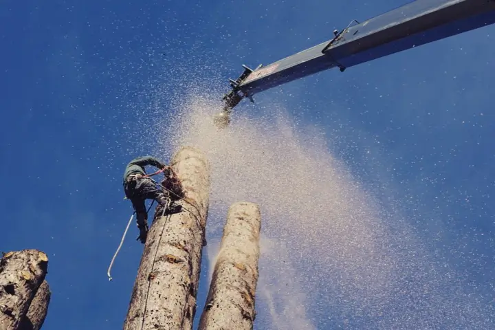 Tree care for municipalities by AKA Tree Service in Atlanta GA and Nashville TN