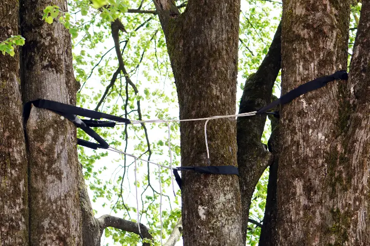 Tree cabling by AKA Tree Service in Atlanta GA and Nashville TN