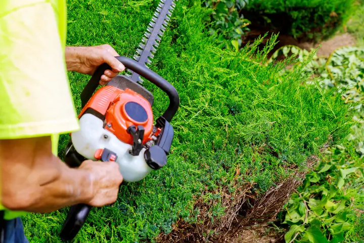 Shrub care by AKA Tree Service in Atlanta GA and Nashville TN