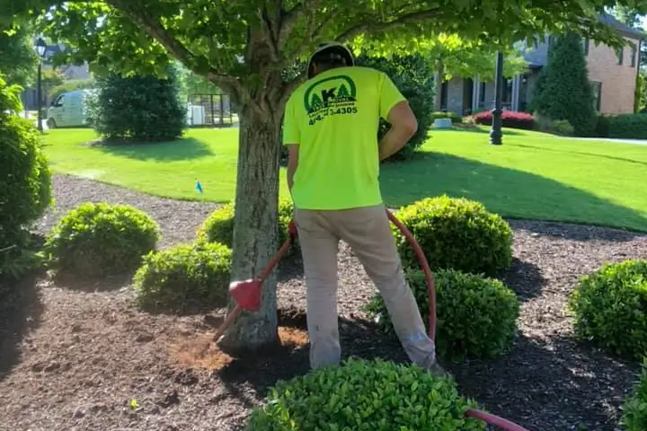 Air Spading by AKA Tree Service in Atlanta GA and Nashville TN