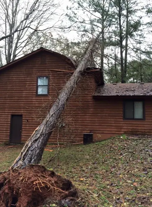 Fallen tree cleanup by AKA Tree Service in Atlanta GA and Nashville TN