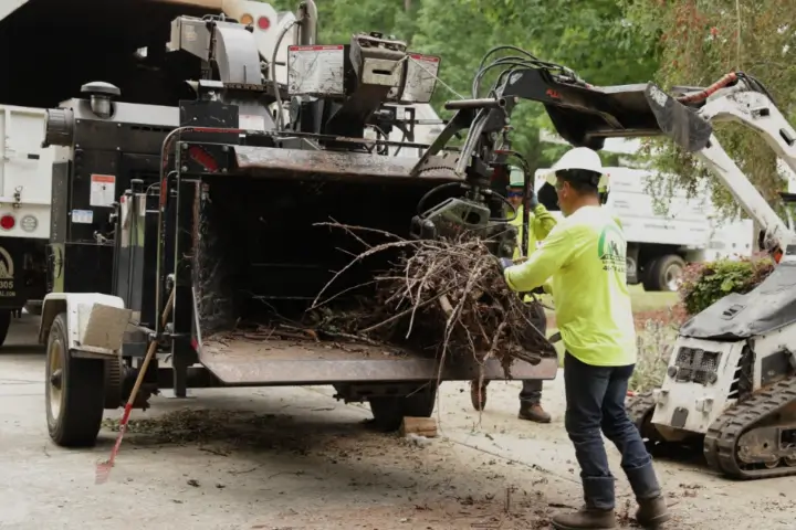 Complete tree removal by AKA Tree Service in Atlanta GA and Nashville TN