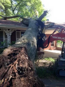 AKA Tree Services for Emergency Tree Removal in Atlanta GA