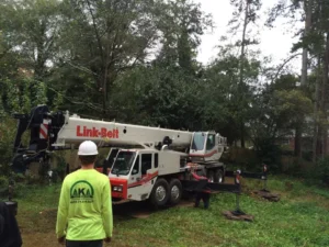AKA Tree Service's ISA-certified arborists identifying dangerous trees on a property in the Atlanta GA area.
