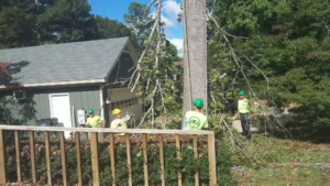 AKA Tree Service to help with necessary tree removal in Atlanta GA.