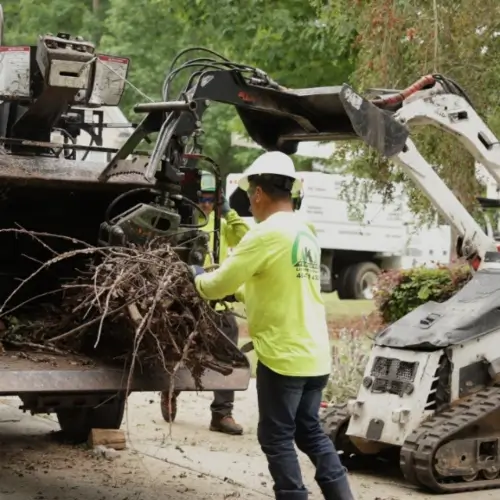 Expert residential tree removal in Central Georgia and Nashville TN